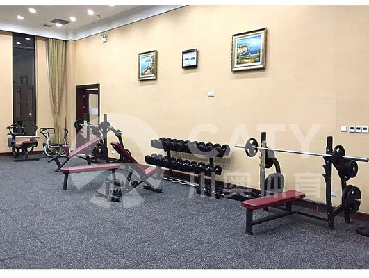Sports Crossfit Gym Flooring Mats Square Fitness Rubber Tile 