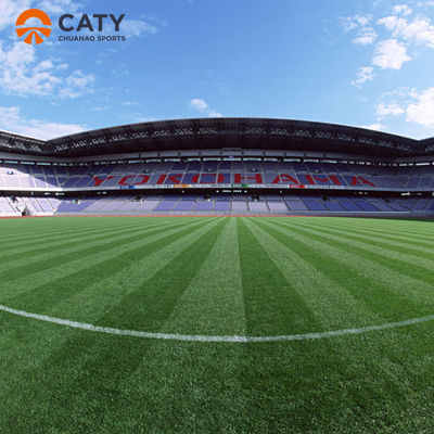 Nontoxic Artificial Grass Infill Elastic EPDM Crumb Rubber For Soccer Football Pitches