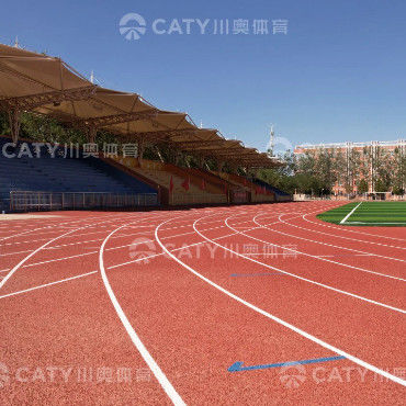 Iaaf Approved 13mm Prefabricated Runway Rubber Running Track for Stadium Tartan Track