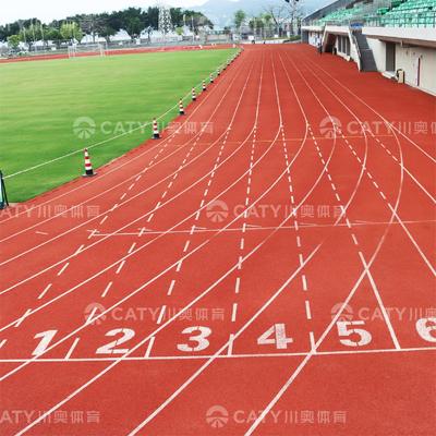 Hot Sale Eco-Friendly Permeable Running Track for Sustainable and Green Exercise Areas