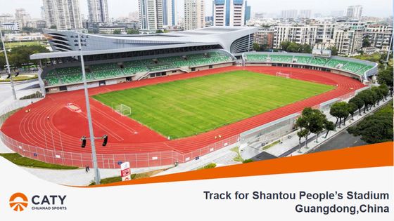 High Resilient Mixed Type Track with Superior Shock Absorption and All-Weather Performance for School and Sports Center