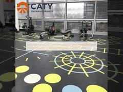 Versatile Functional Gym Flooring System, Integrated with Shock-Absorbing, Weightlifting and Cardio Zones