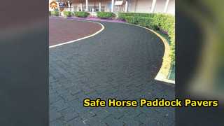 Dog Bone Rubber Pavers Barns & Paddocks
